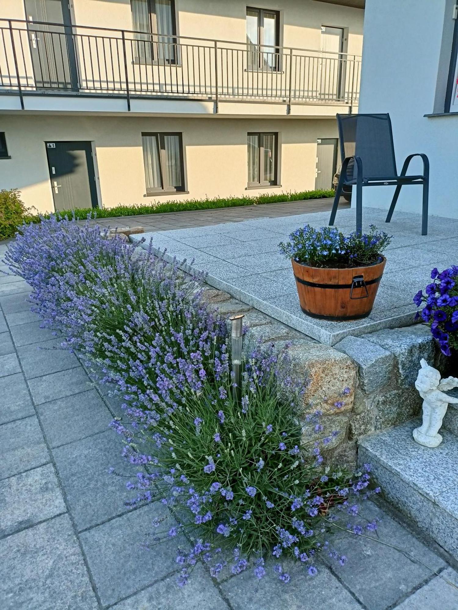 Apartamenty Jasienczyk Mielenko Exteriér fotografie